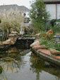 Watergardens in Garland/Dallas 75043